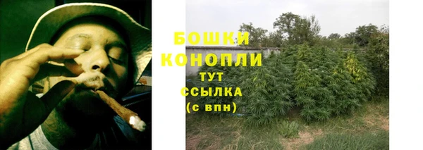 дмт Гусев