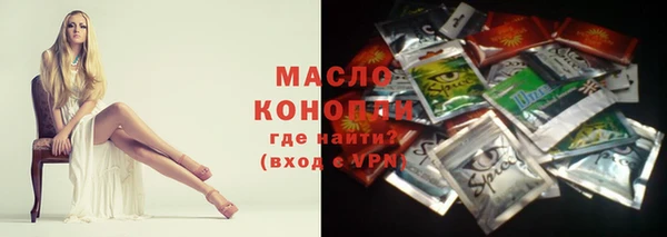 дмт Гусев