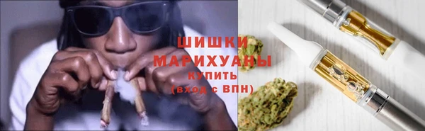 дмт Гусев