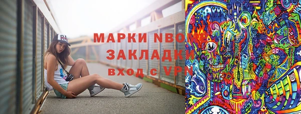 дмт Гусев