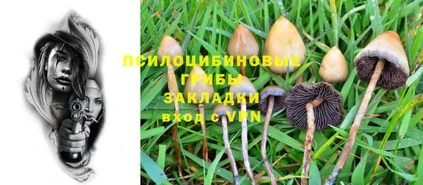 дмт Гусев