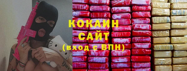 мдпв Гусь-Хрустальный